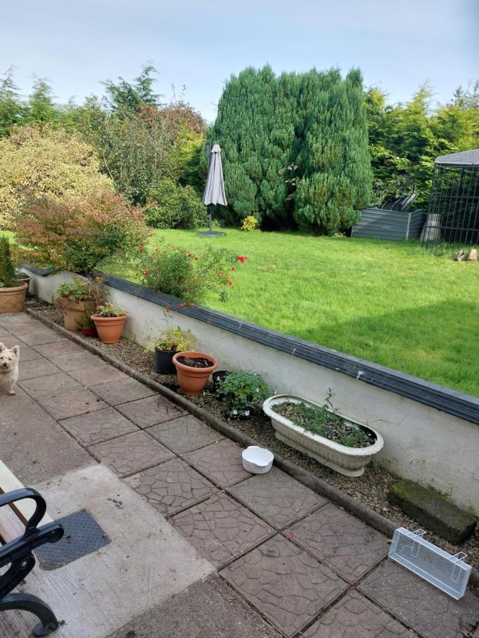 Hillside Haven 2 Apartman Tipperary Kültér fotó
